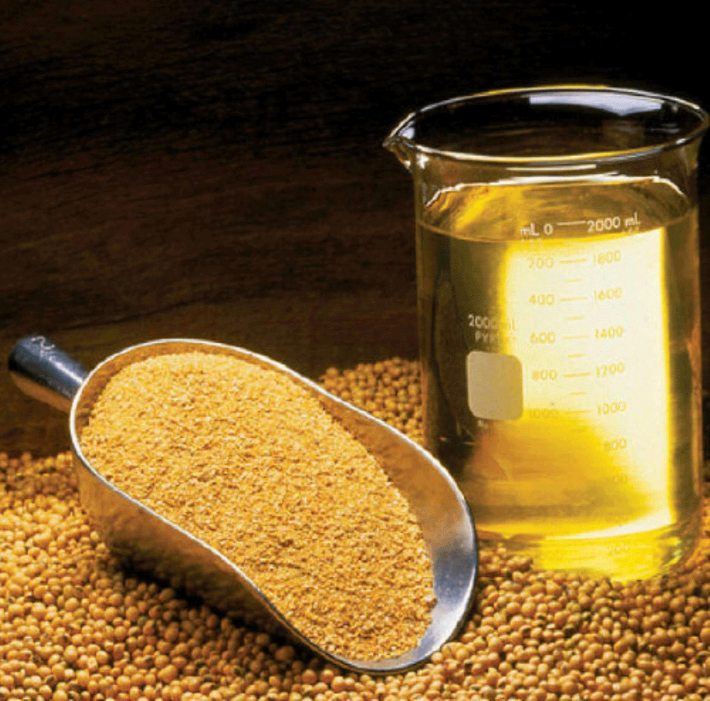 Suspenden la baja de retenciones para aceites y harinas de soja